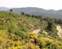 Resale - Finca - Penaguila - Penáguila