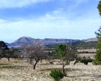 Resale - Finca - Torremanzanas