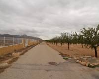 Resale - Plots and Land - Abanilla