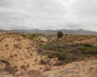 Resale - Plots and Land - Abanilla