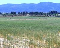 Resale - Plots and Land - Agres