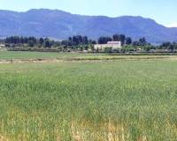 Resale - Plots and Land - Agres