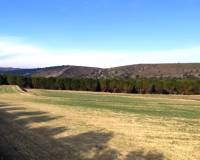 Resale - Plots and Land - Agres