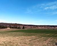 Resale - Plots and Land - Agres