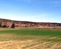 Resale - Plots and Land - Agres