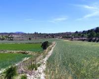 Resale - Plots and Land - Agres