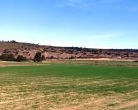 Resale - Plots and Land - Agres