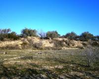 Resale - Plots and Land - Agullent