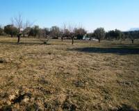 Resale - Plots and Land - Agullent