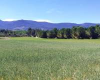 Resale - Plots and Land - Alfafara