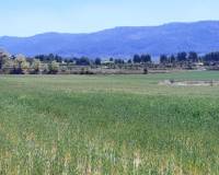 Resale - Plots and Land - Alfafara