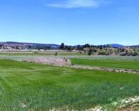 Resale - Plots and Land - Alfafara