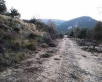 Resale - Plots and Land - Benifallim