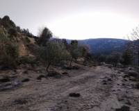 Resale - Plots and Land - Benifallim