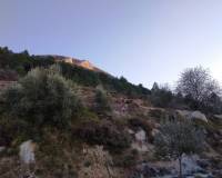 Resale - Plots and Land - Benifallim