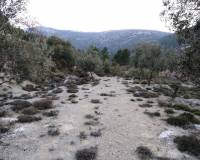 Resale - Plots and Land - Benifallim