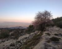 Resale - Plots and Land - Benifallim