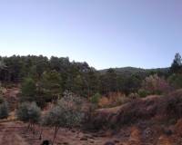 Resale - Plots and Land - Benifallim