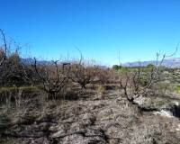 Resale - Plots and Land - Benillup