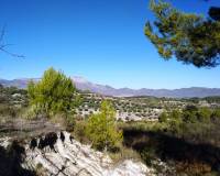 Resale - Plots and Land - Benillup