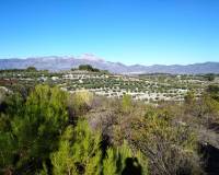 Resale - Plots and Land - Benillup