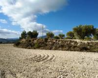 Resale - Plots and Land - Benillup