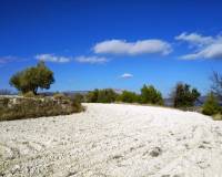 Resale - Plots and Land - Benillup