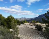 Resale - Plots and Land - Benillup