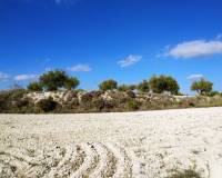 Resale - Plots and Land - Benillup