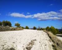 Resale - Plots and Land - Benillup