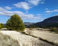 Resale - Plots and Land - Benillup