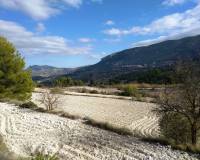 Resale - Plots and Land - Benillup