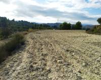 Resale - Plots and Land - Benillup
