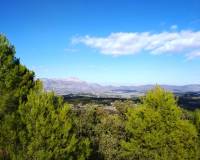 Resale - Plots and Land - Benillup