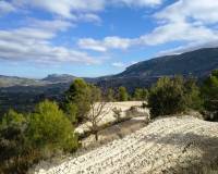 Resale - Plots and Land - Benillup