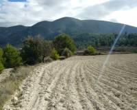 Resale - Plots and Land - Benillup