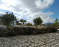 Resale - Plots and Land - Benillup