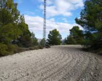 Resale - Plots and Land - Benillup