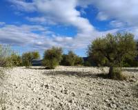 Resale - Plots and Land - Benillup