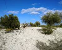 Resale - Plots and Land - Benillup