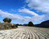 Resale - Plots and Land - Benillup