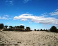 Resale - Plots and Land - Benillup