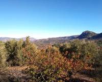 Resale - Plots and Land - Benimarfull - benimarfull