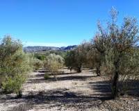 Resale - Plots and Land - Benimarfull - benimarfull