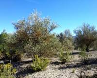 Resale - Plots and Land - Benimarfull - benimarfull