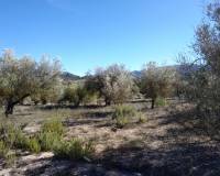 Resale - Plots and Land - Benimarfull - benimarfull