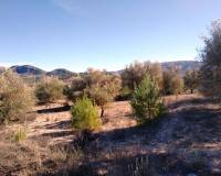 Resale - Plots and Land - Benimarfull - benimarfull