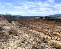 Resale - Plots and Land - Bufali