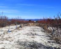 Resale - Plots and Land - Bufali