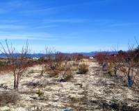Resale - Plots and Land - Bufali